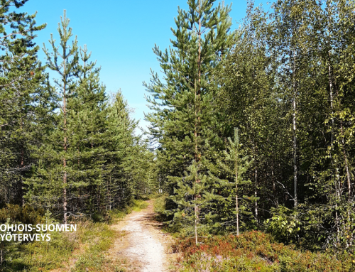 Lisääntyvä valo voi myös kuormittaa