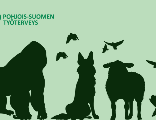 Työpaikka ei ole ystäväpiiri – siksi erilaisuus näkyy